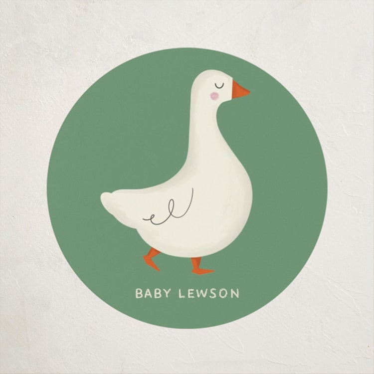"Baby Shelfie" - Baby Shower Stickers in Classic Library by Julia Starr - Front