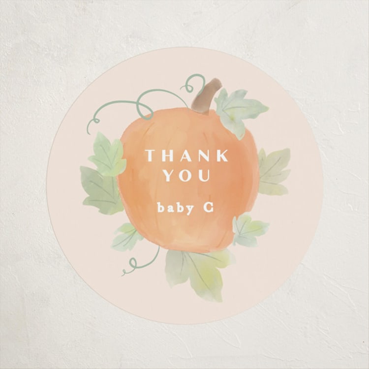 "Lil Pumpkin" - Baby Shower Stickers in Blush by Creo Study - Front