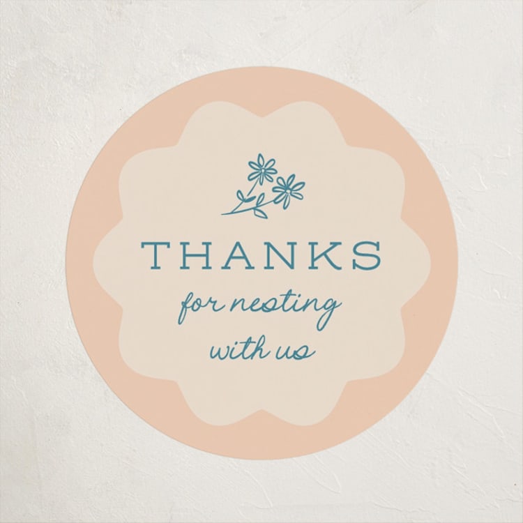"Nesting Toolbox" - Baby Shower Stickers in Peachy by Leia Matt - Front
