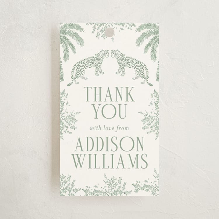 Safari by Jenna Holcomb