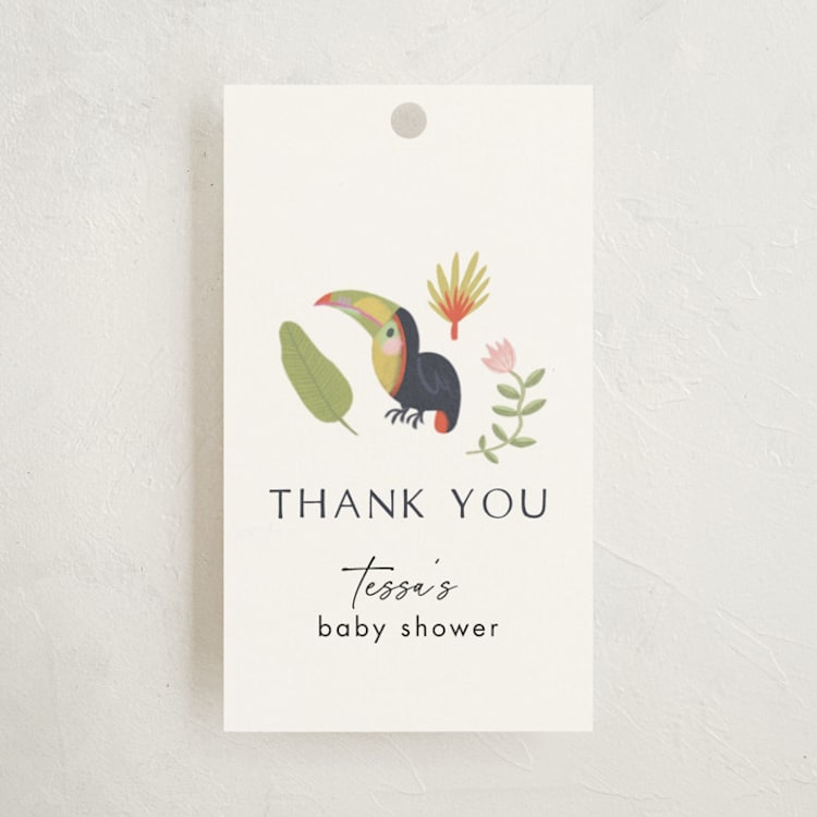 Tropical Animals by Kate Blalock