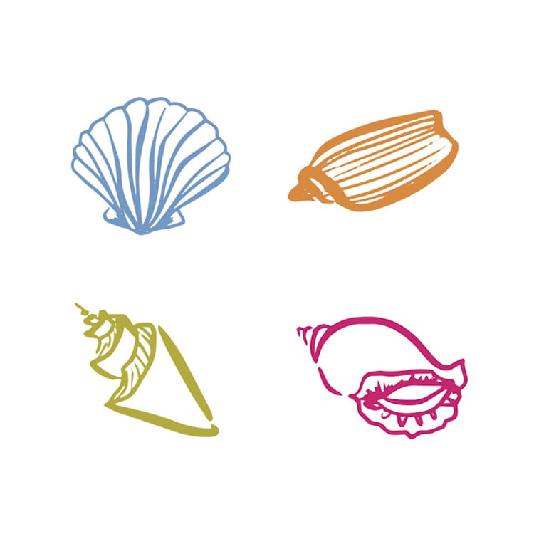 "Custom Shell Icons Set of 4" - Commissioned Design Element in multicolorassorted-colors by Eva Tadros