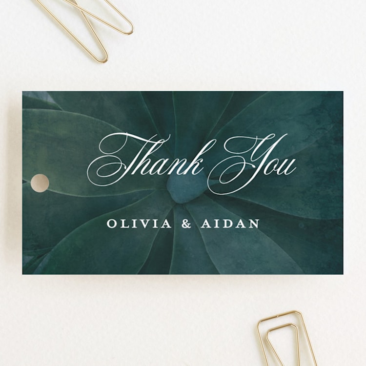 "Succulent Center" - Wedding Favor Tags in Cactus by Jessica Williams - Front