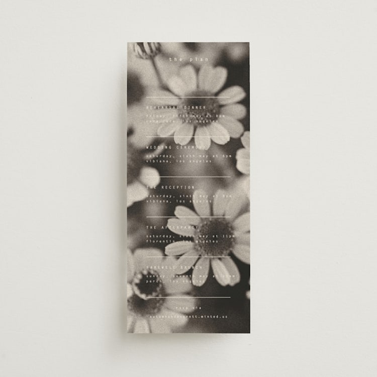 "Nonnette" - Wedding Weekend Itinerary Cards in Vanilla by Blustery August - Front