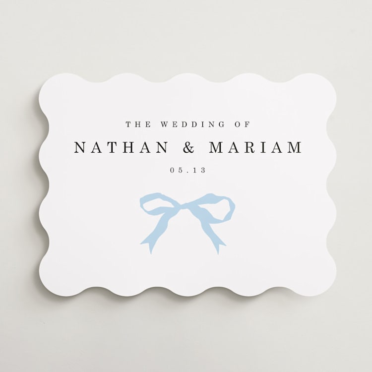 "Tied the Knot" - Welcome Signs in Powder by Baumbirdy - Front