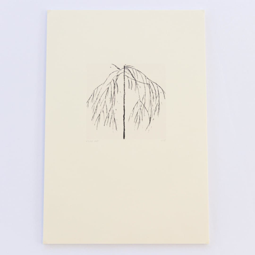 "Cherry Tree" - Limited Edition Fine Art Print in multicolorassorted-colors by Dana Williamowsky