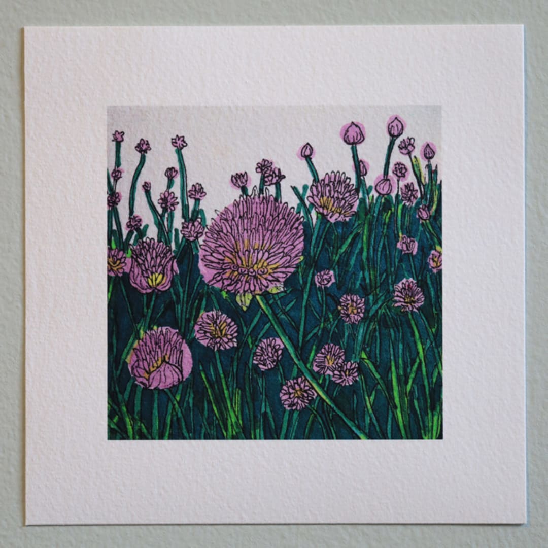 "Garden Sketch Flowering Chives" - Limited Edition Fine Art Print in green by Janie Allen