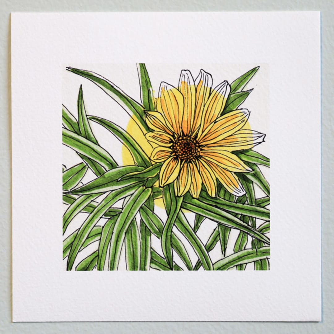 "Garden Sketch Maximilian Sunflower" - Limited Edition Fine Art Print in yellow by Janie Allen