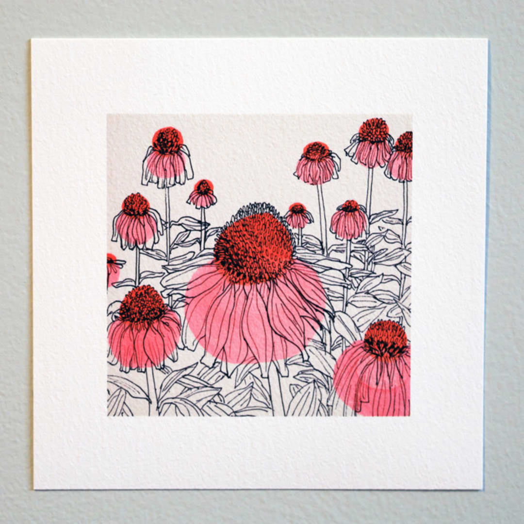 "Garden Sketch Coneflowers" - Limited Edition Fine Art Print in pink by Janie Allen