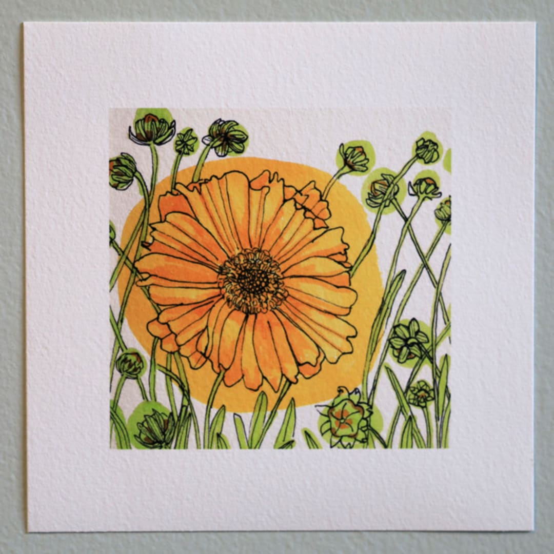 "Garden Sketch Coreopsis" - Limited Edition Fine Art Print in yellow by Janie Allen
