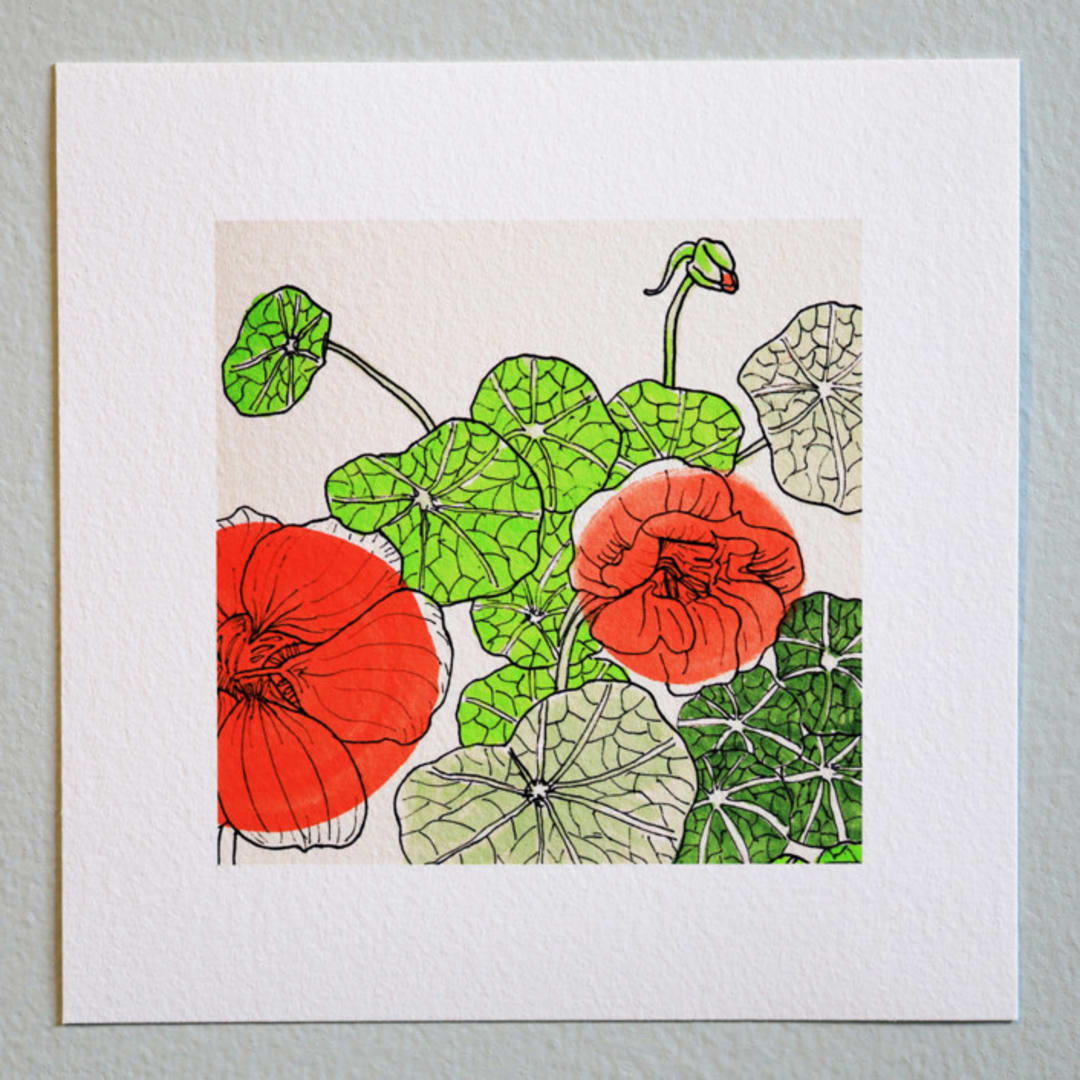 "Garden Sketch Nasturtium" - Limited Edition Fine Art Print in pink by Janie Allen