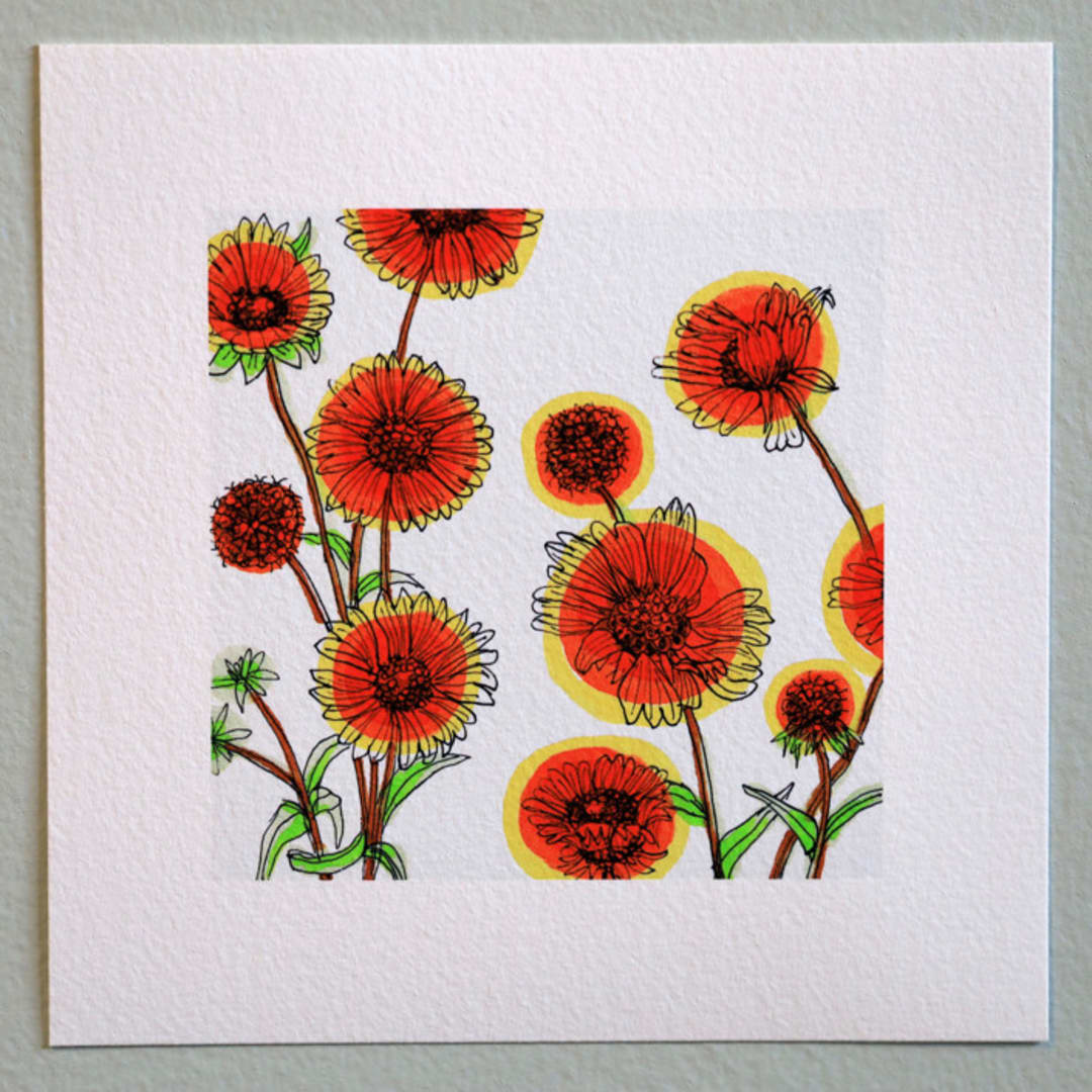 "Garden Sketch Gillardia" - Limited Edition Fine Art Print in orange by Janie Allen