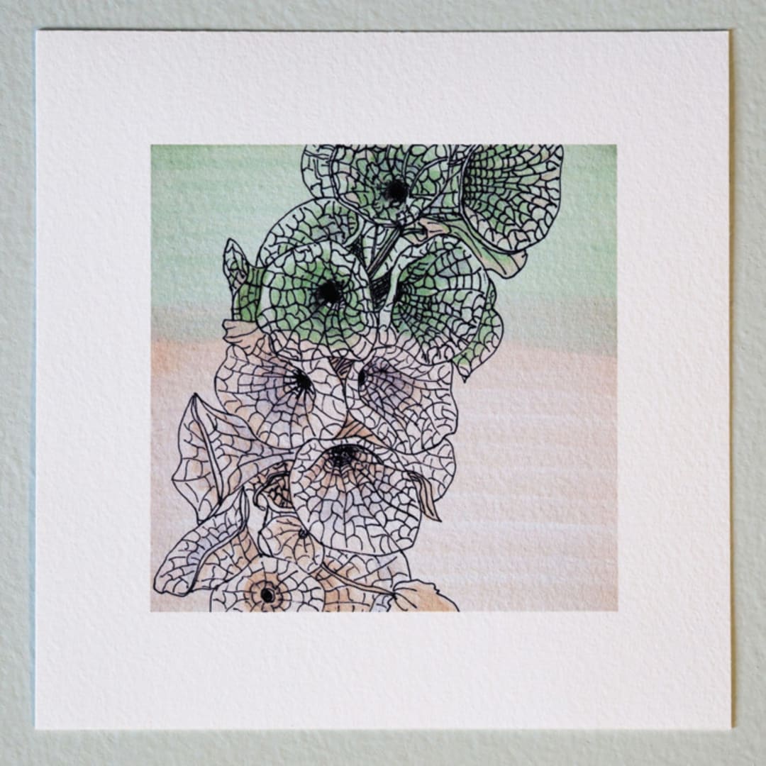 "Garden Sketch Bells of Ireland" - Limited Edition Fine Art Print in green by Janie Allen