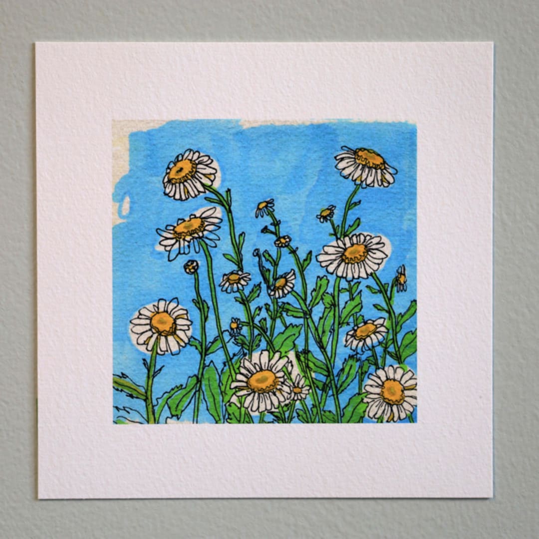 "Garden Sketch Daisy" - Limited Edition Fine Art Print in blue by Janie Allen