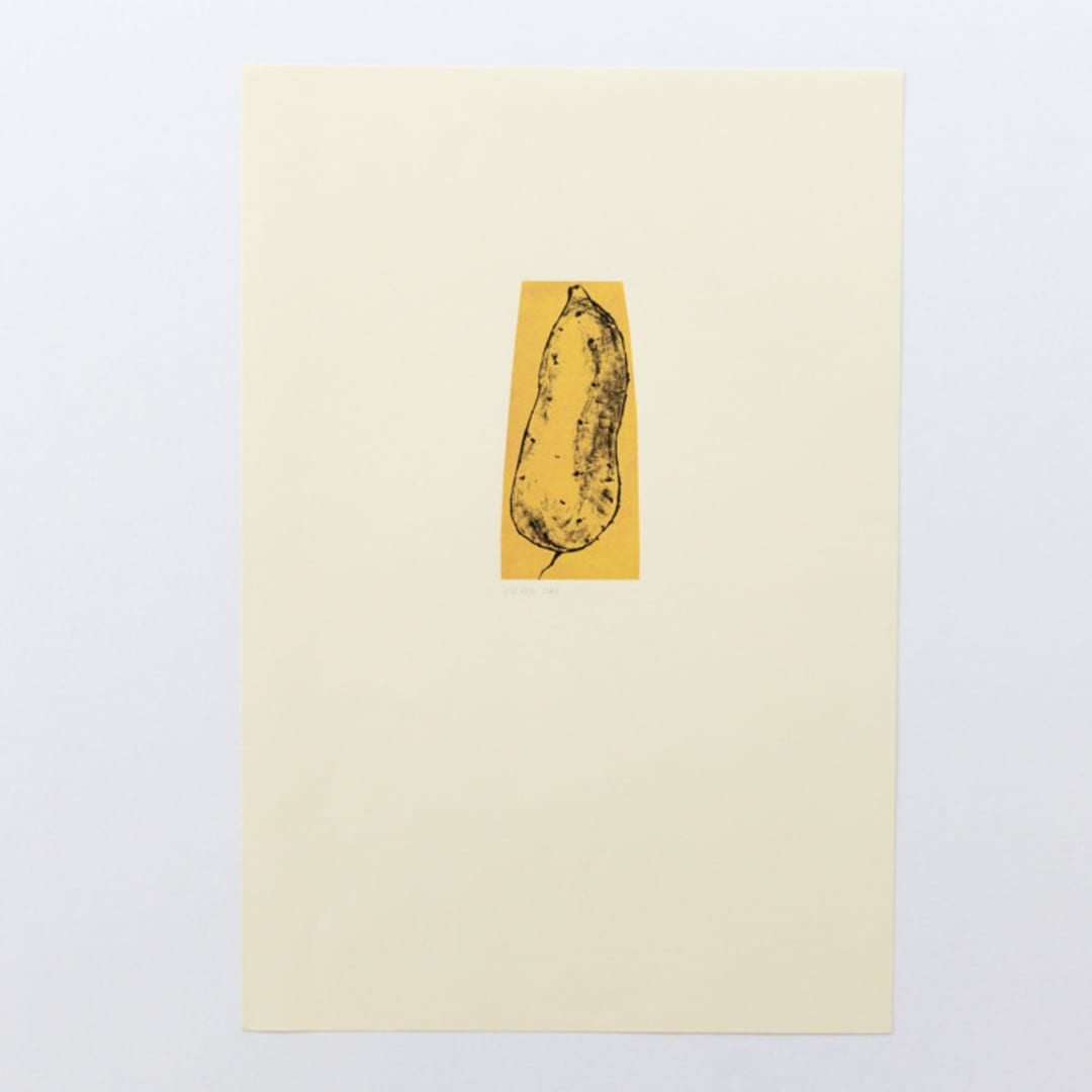 "Harvest Sweet Potato" - Limited Edition Fine Art Print in multicolorassorted-colors by Dana Williamowsky