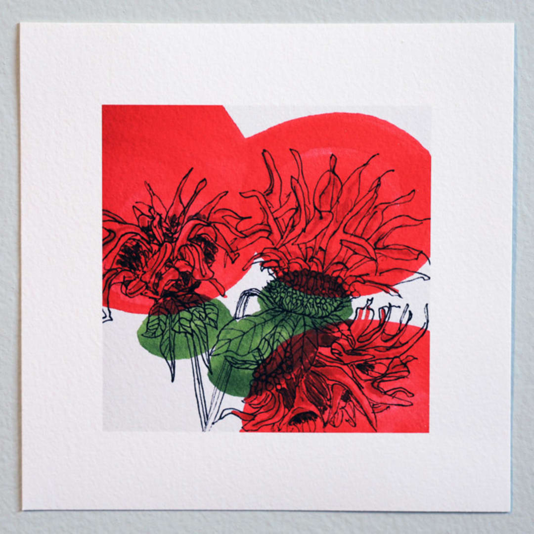 "Garden Sketch Bee Balm" - Limited Edition Fine Art Print in red by Janie Allen