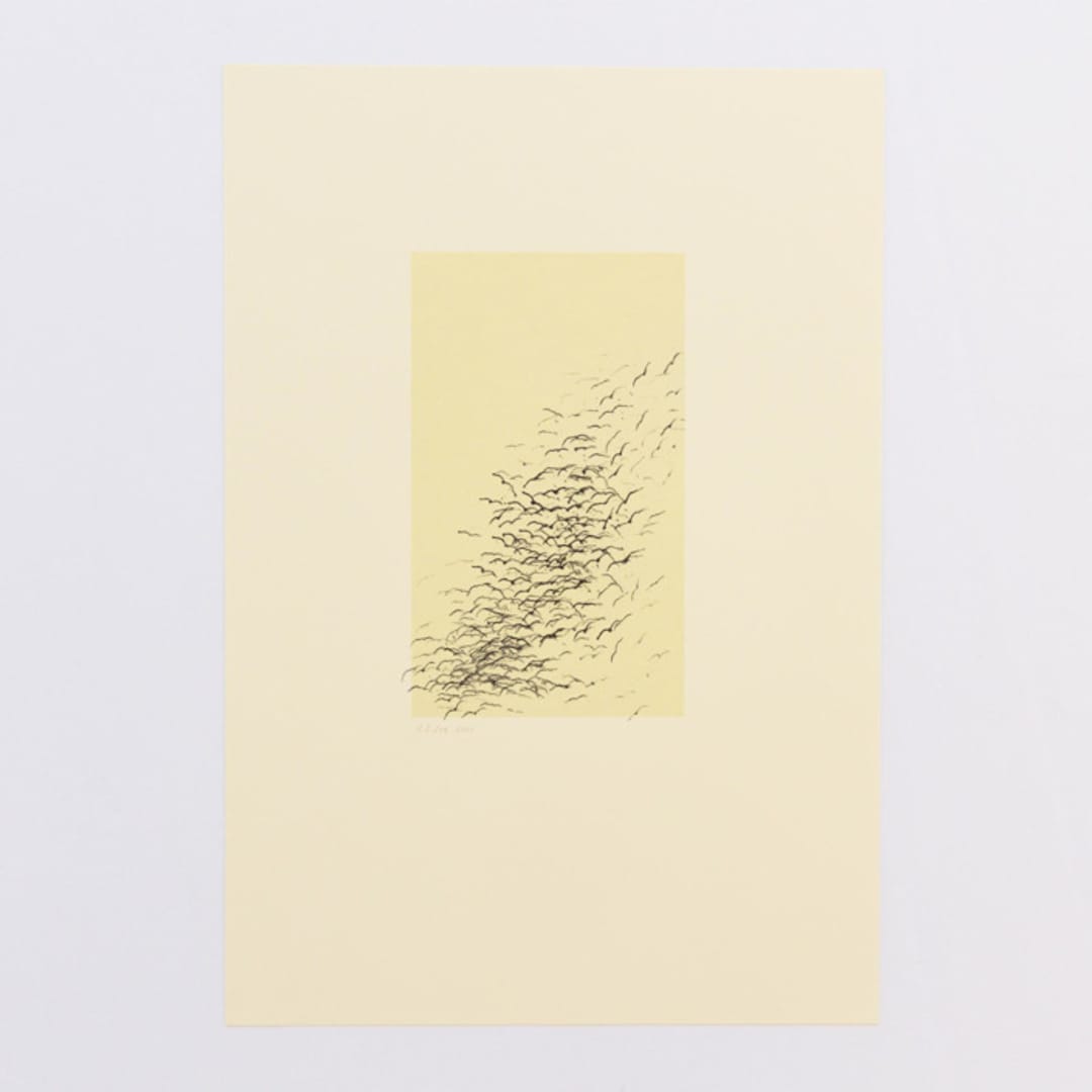 "Crows over Cornfield" - Limited Edition Fine Art Print in multicolorassorted-colors by Dana Williamowsky