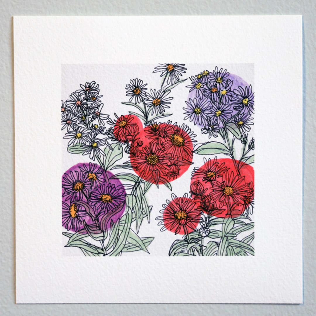 "Garden Sketch Asters" - Limited Edition Fine Art Print in pink by Janie Allen