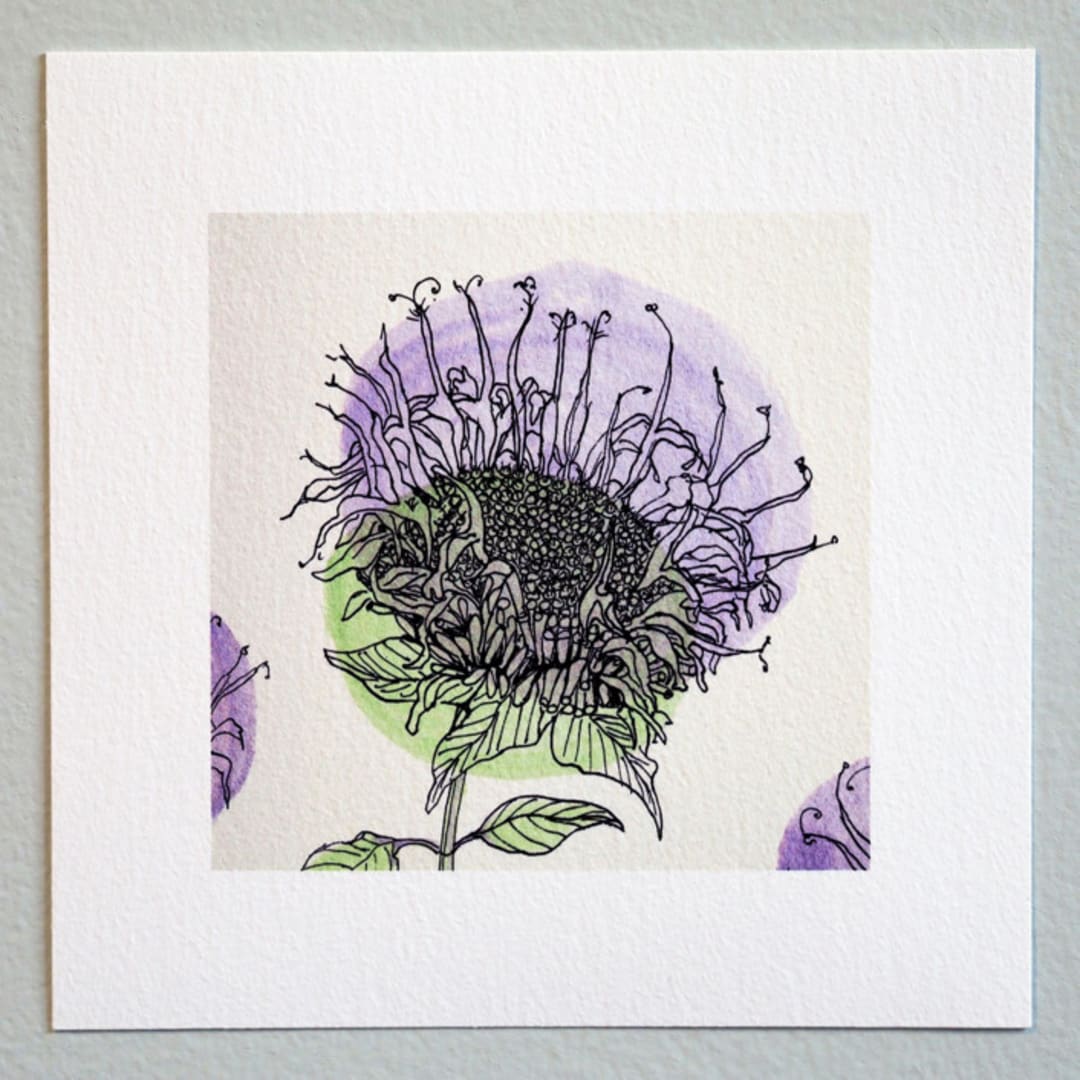 "Garden Sketch Wild Bergamot" - Limited Edition Fine Art Print in purple by Janie Allen