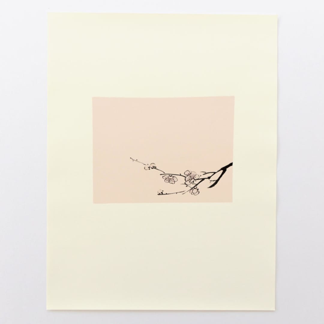 "Blossom" - Limited Edition Fine Art Print in multicolorassorted-colors by Dana Williamowsky