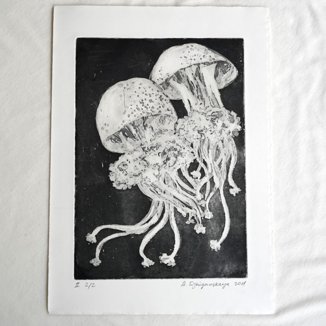 Jellyfish original etching