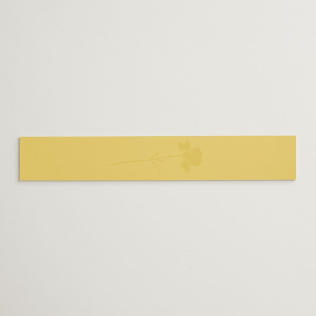 "Bloom" - Bridal Shower in Island Citrus by Morgan Kendall - Front