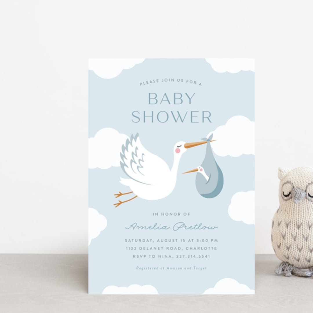 Baby Stork