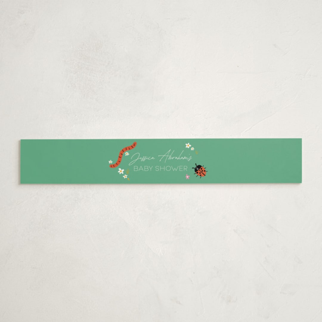 "Little Bug" - Baby Shower Belly Bands in Garden by Hudson meet Rose - Front