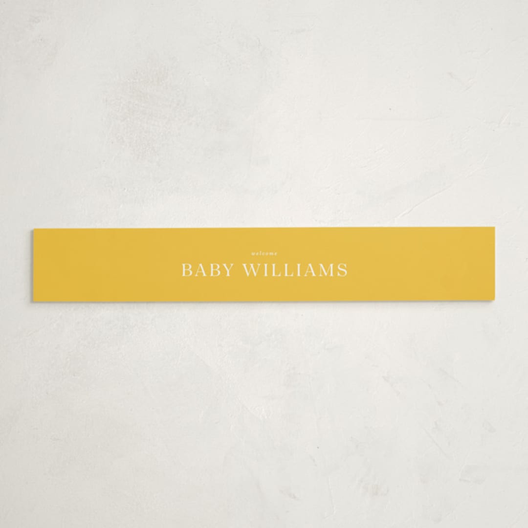 "Hummingbird Garden" - Baby Shower Belly Bands in Saffron by Eve Schultz - Front