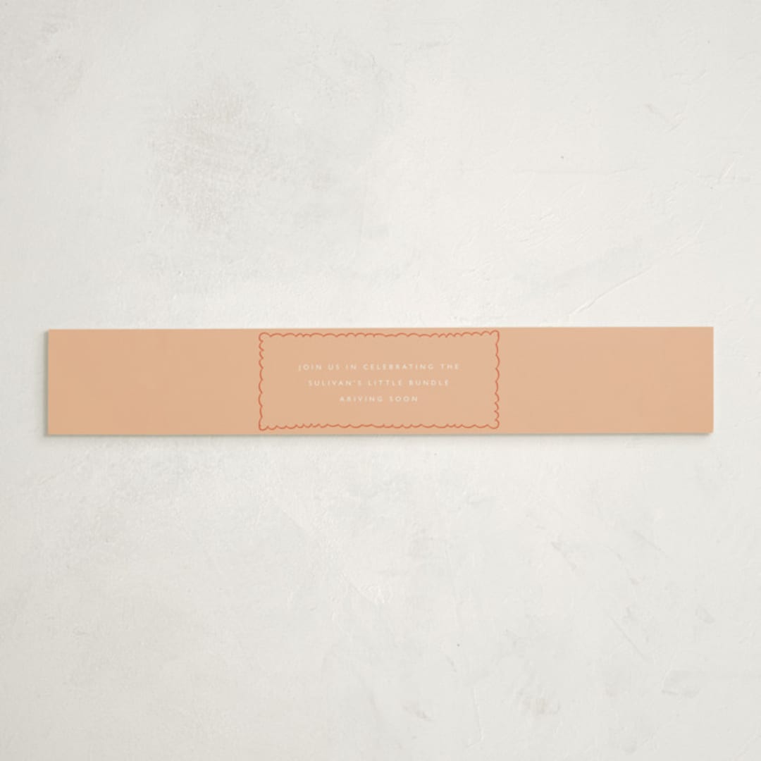 "Stork Party" - Baby Shower Belly Bands in Tangerine by Zani van Zyl - Front