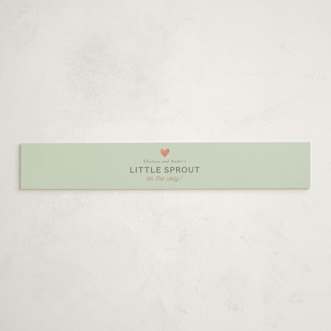 "Little Sprout" - Baby Shower Belly Bands in Grain by Itsy Belle Studio - Front