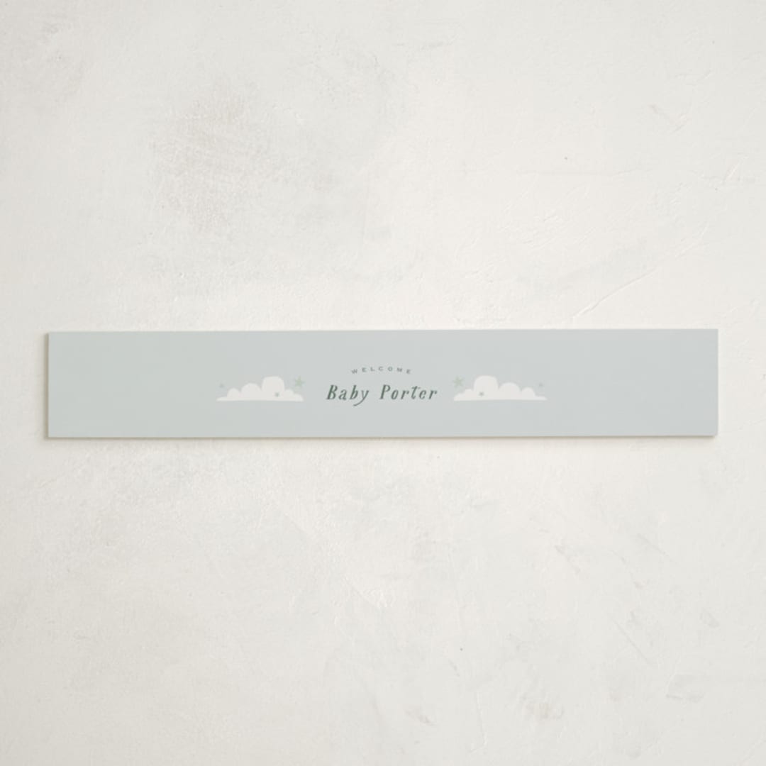 "Little Explorer" - Baby Shower Belly Bands in Powder by Hannah Williams - Front