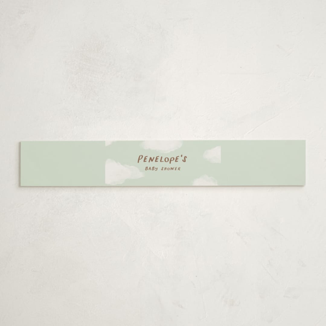 "tippaleipä" - Baby Shower Belly Bands in Mint by chocomocacino - Front