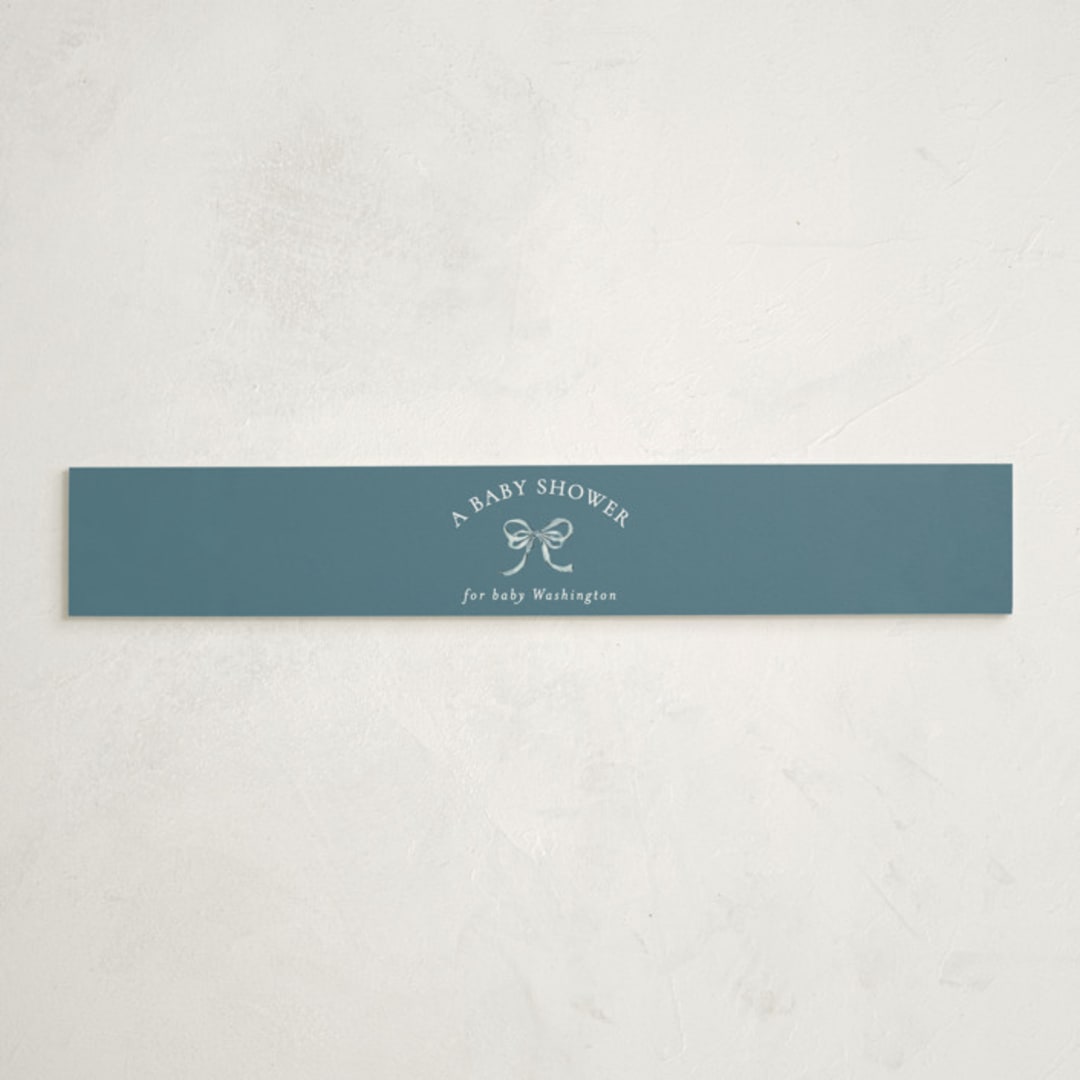 "Pram" - Baby Shower Belly Bands in Sky by Sarah Knight - Front