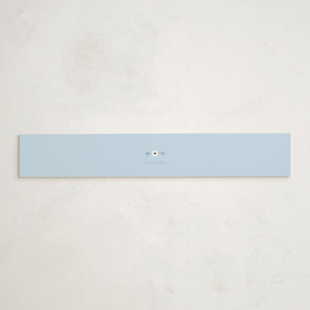 "Mom Era" - Baby Shower Belly Bands in Aqua by Baumbirdy - Front