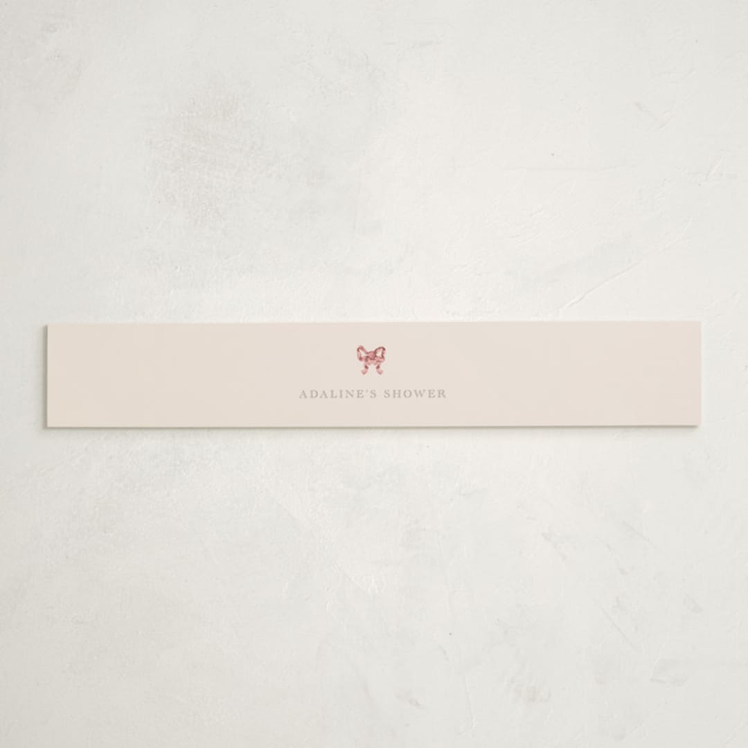 "Bonjour Bebe" - Baby Shower Belly Bands in Peony by Itsy Belle Studio - Front
