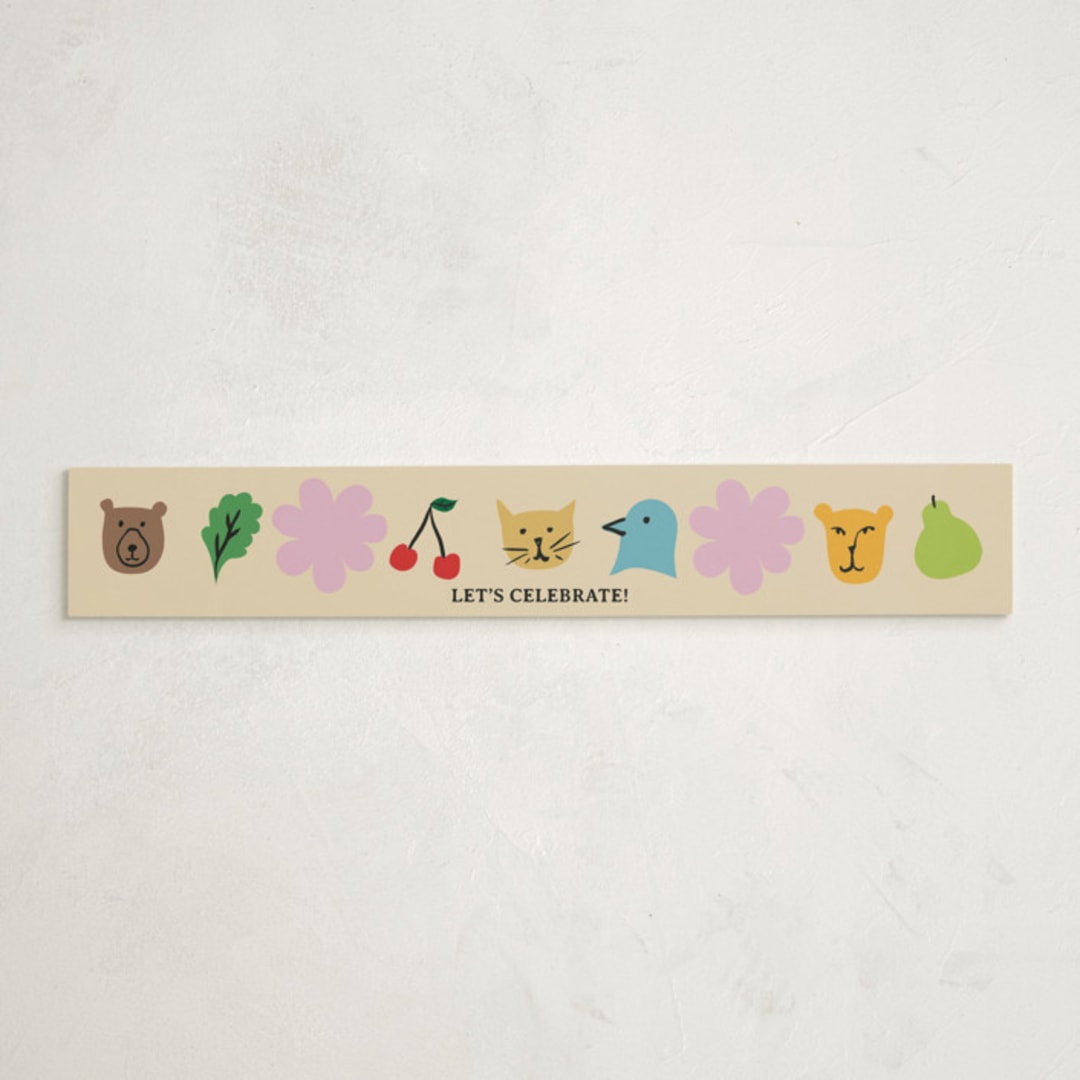"Park Slope" - Baby Shower Belly Bands in Rainbow by Claire - Front