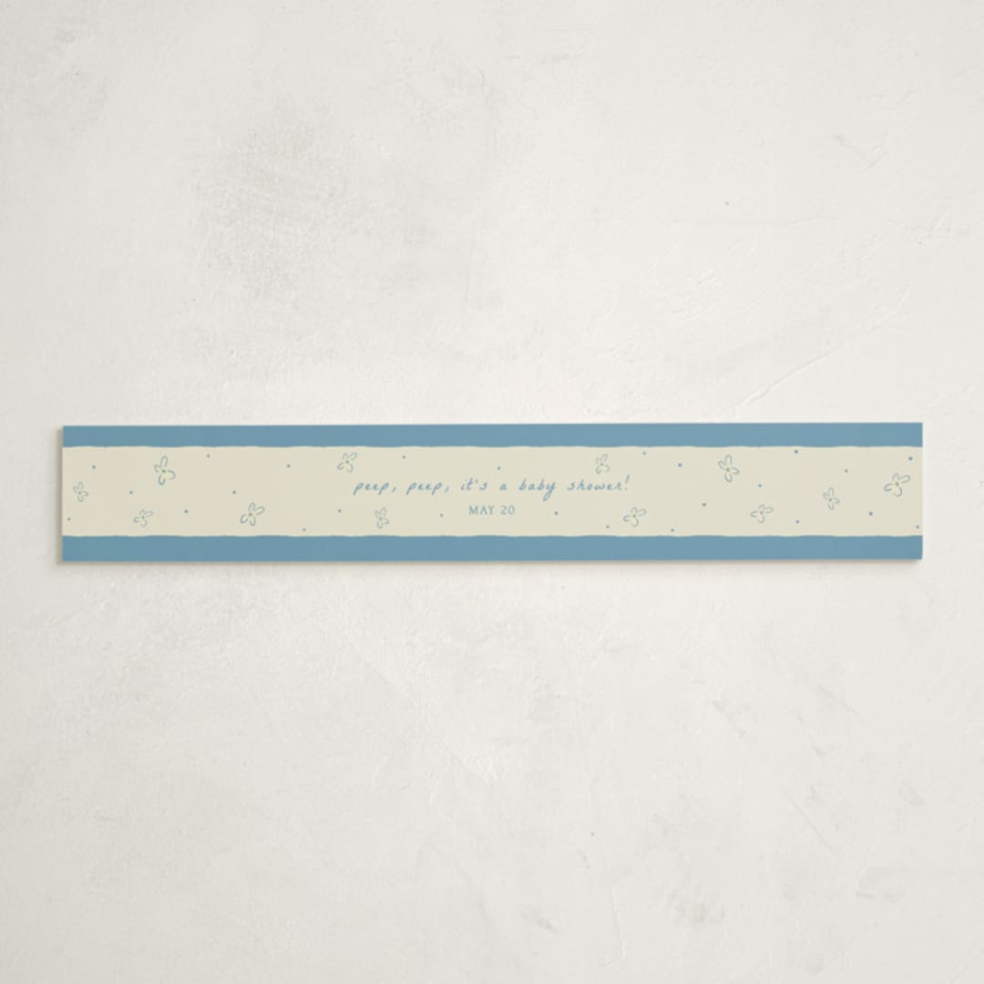 "Sweet Peeps" - Baby Shower Belly Bands in Robin’s Egg by Sarah Rosenthal - Front