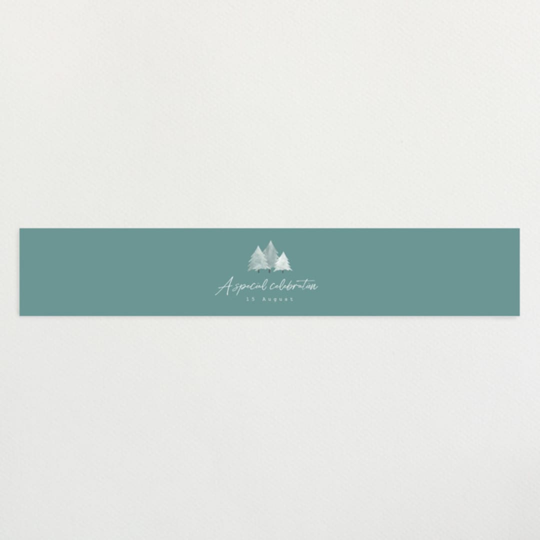 "Calm Winter" - Baby Shower Belly Bands in Frost by Adelyn T. - Front