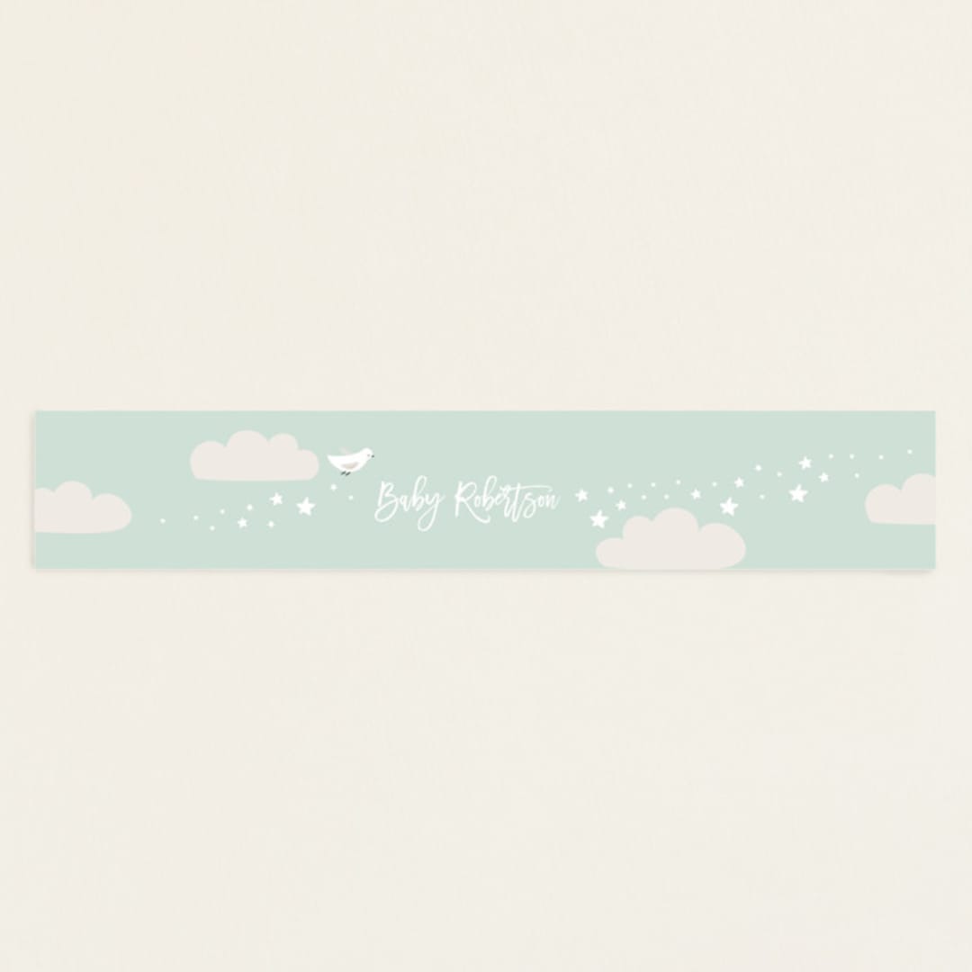 "baby balloon ride" - Baby Shower Belly Bands in Seafoam by peetie design - Front