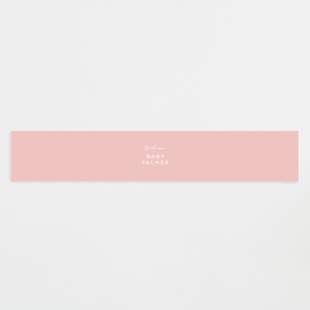 "Seedlings" - Baby Shower Belly Bands in Navy by Jennifer Wick - Front