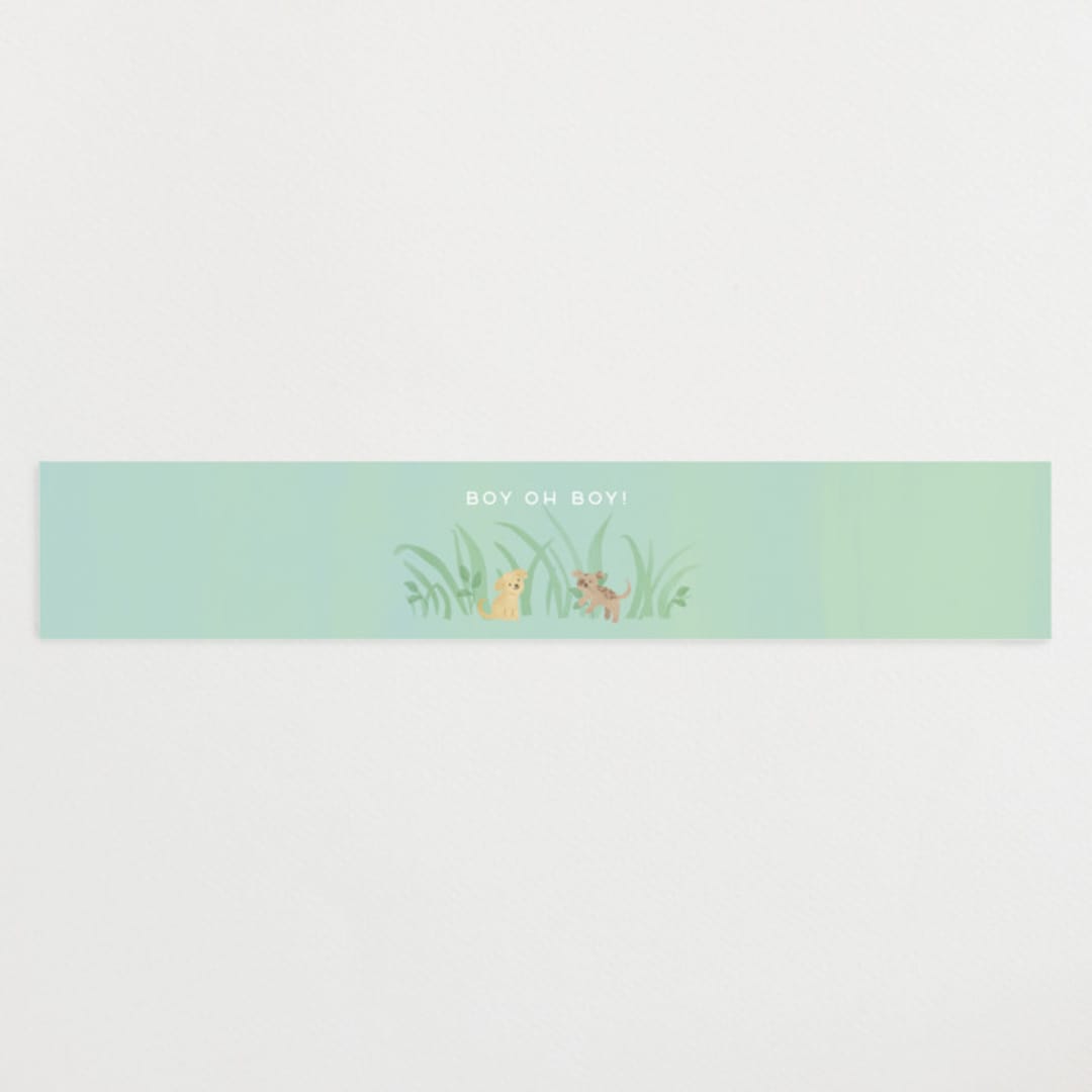 "Little pups" - Baby Shower Belly Bands in Mint by Jennifer Wick - Front
