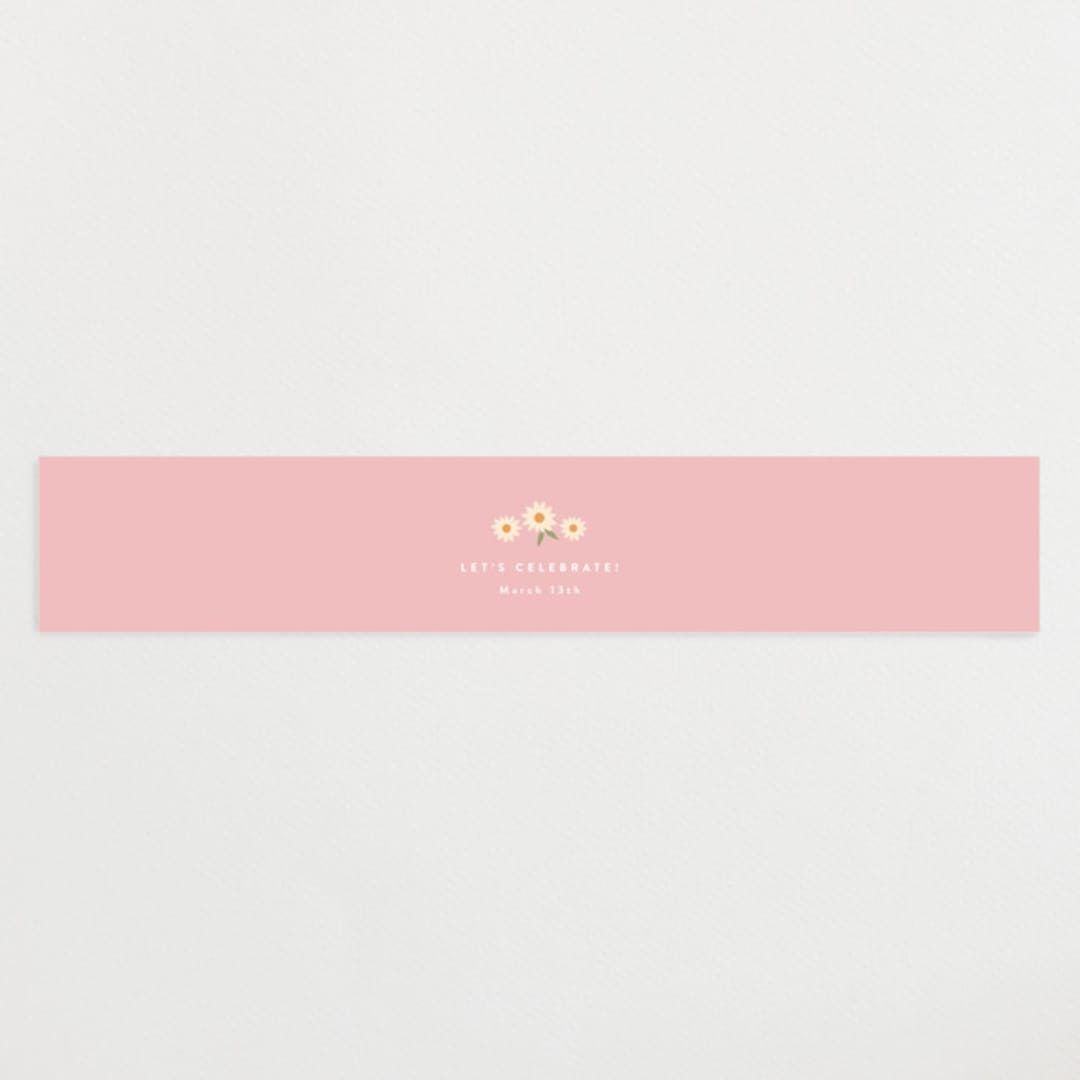 "Little Chick" - Baby Shower Belly Bands in Blush by Carolyn MacLaren - Front