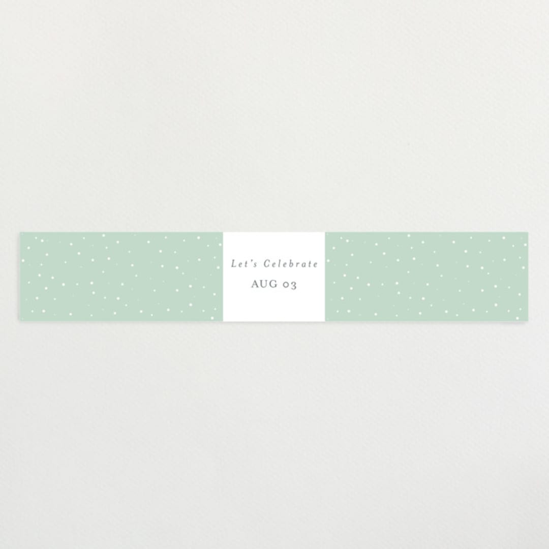 "Jungle Animals" - Baby Shower Belly Bands in Mint by Christy Hy Lee - Front