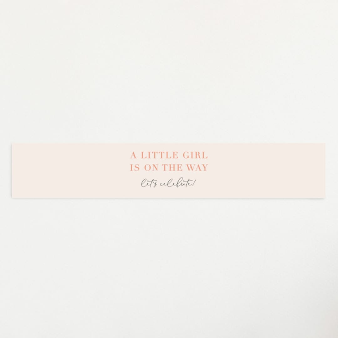 "Painted Frame" - Baby Shower Belly Bands in Peony by Erica Krystek - Front