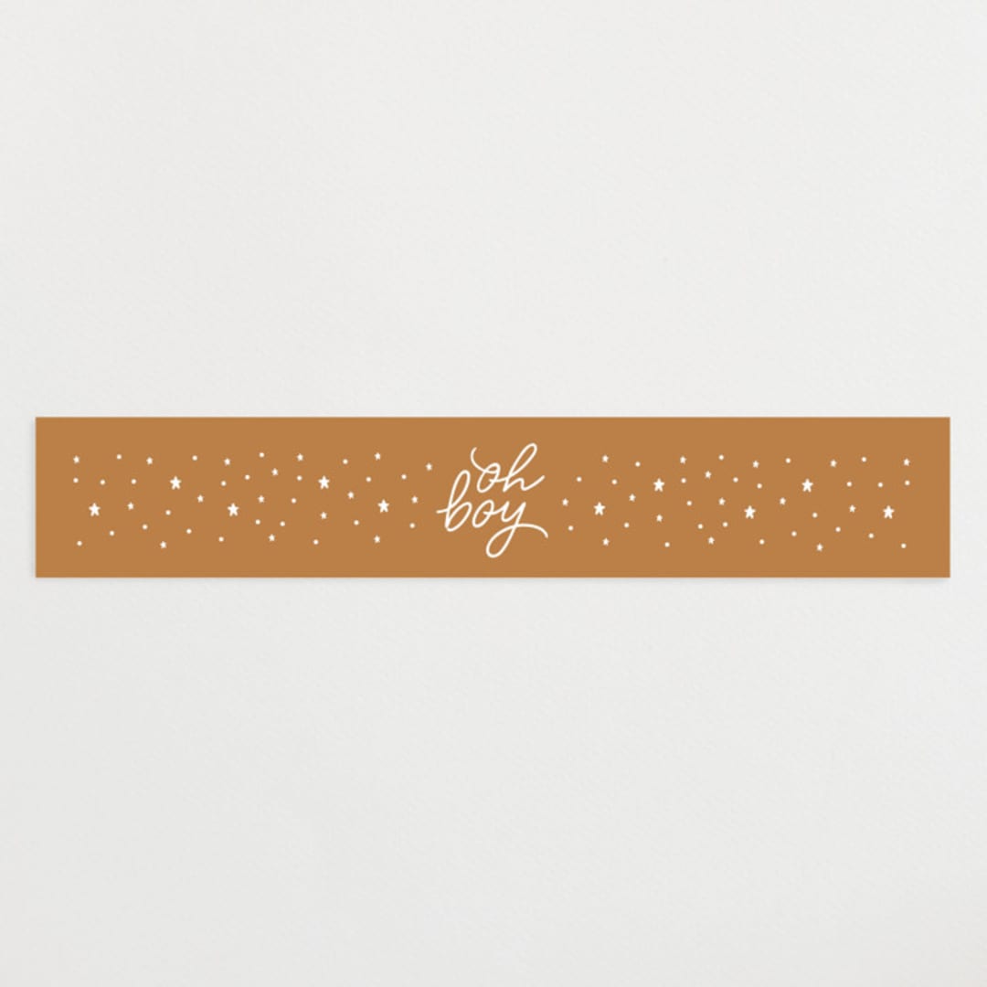 "Toys" - Baby Shower Belly Bands in Powder Blue by JeAnna Casper - Front