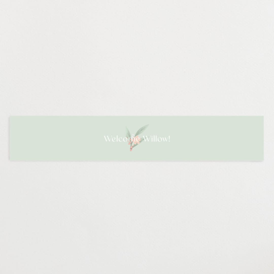 "Tweet Tweet" - Baby Shower Belly Bands in Blush by Itsy Belle Studio - Front