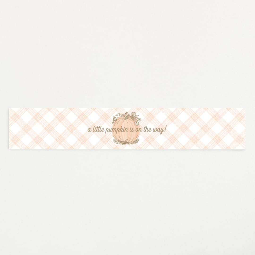 "Little Pumpkin" - Baby Shower Belly Bands in Peach by Paper Sun Studio - Front