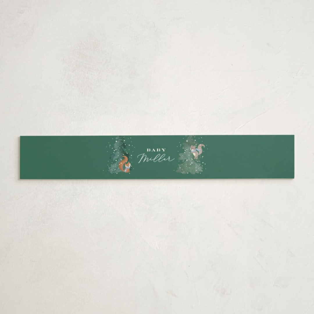 "Winter Wonderland" - Baby Shower Belly Bands in Sky by Jennifer Wick - Front