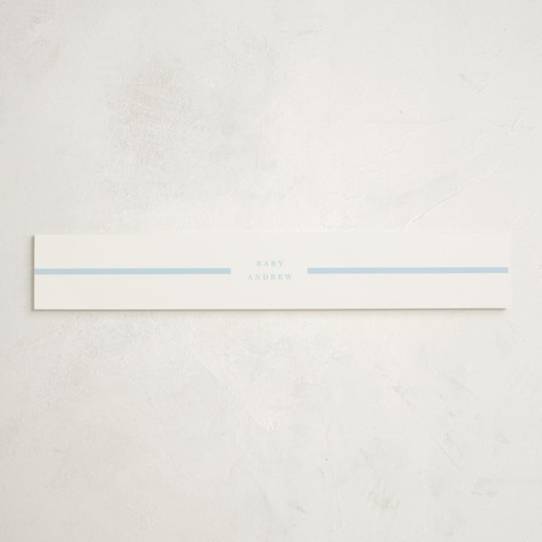 "Snowflakes" - Baby Shower Belly Bands in Glacier by Baumbirdy - Front